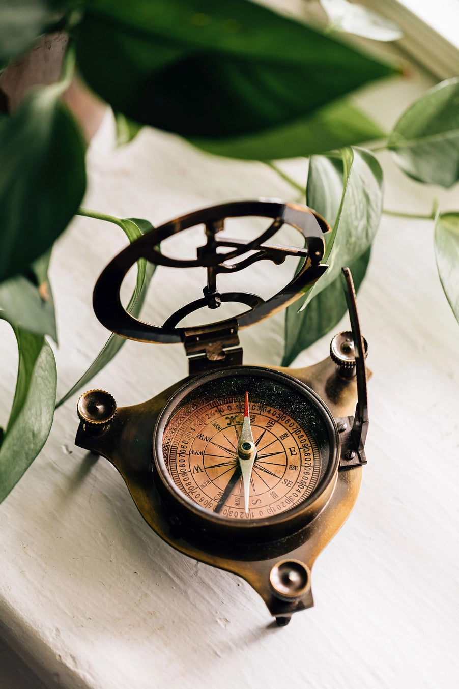 Vintage-style compass on a white surface with green leaves in the background