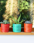 Succulent Basket Planter