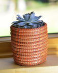 Succulent Basket Planter