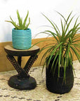 Succulent Basket Planter
