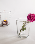 Short Glasses - Set of 6