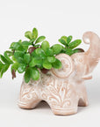 Terracotta Elephant Planter with Drainage Hole