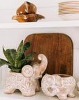 Terracotta Elephant Planter with Drainage Hole