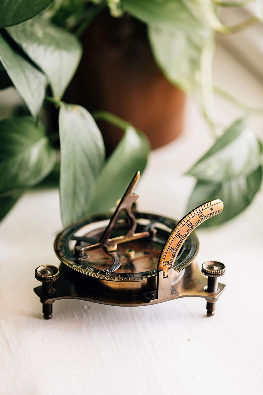 Vintage-style brass compass on a white surface with green plants in the background