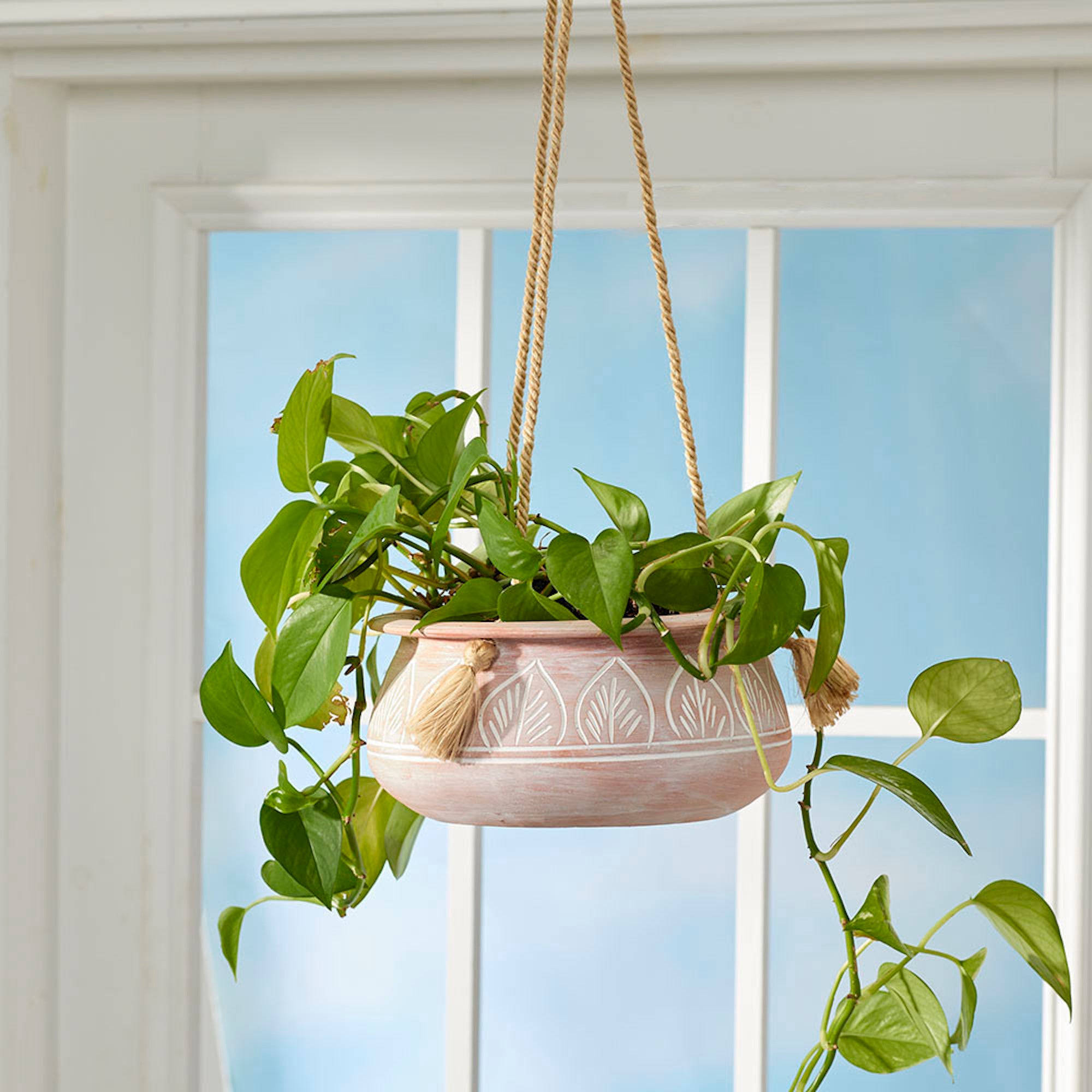 terracotta hanging plant pot Papari Hanging Planter
