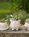 A snail, owl, and hedgehog planter in a garden with plants growing inside them