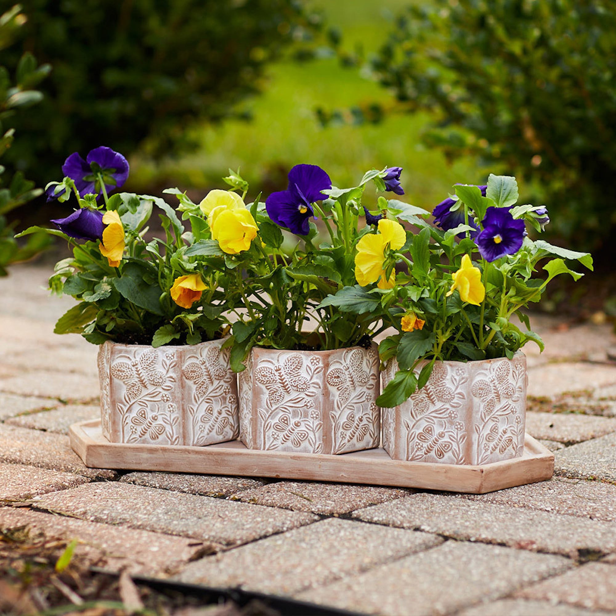 Three terracotta planters on a terracotta saucer outside in a garden with flowers inside and a drainage hole