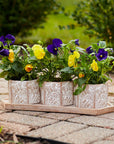 Terracotta Planters and Saucer with Meadow Design and Drainage Hole