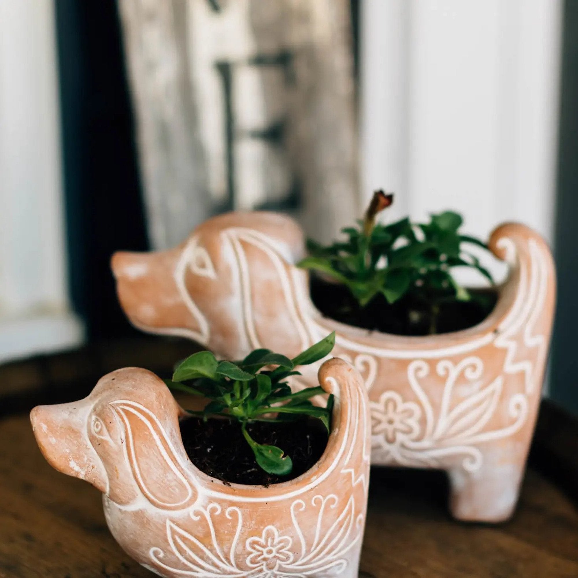 A handmade dog planter with plants inside