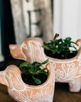 A handmade dog planter with plants inside