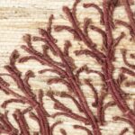 Tree of Life Wall Hanging