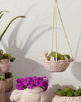 Collection of decorative ceramic planters with plants on a wooden surface.