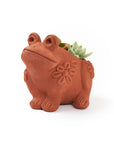 Rakshana Frog Plant Pot - Terracotta