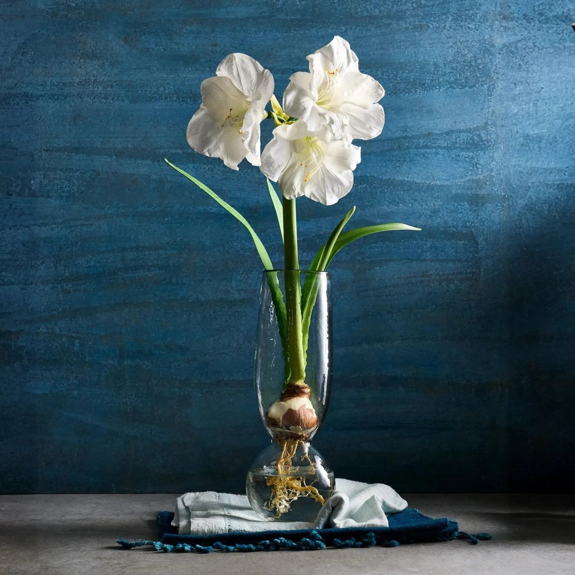 A clear glass bulb-shaped vase with a hammered texture, displayed on a blue background with a white flower arrangement inside