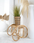 Striped Planter