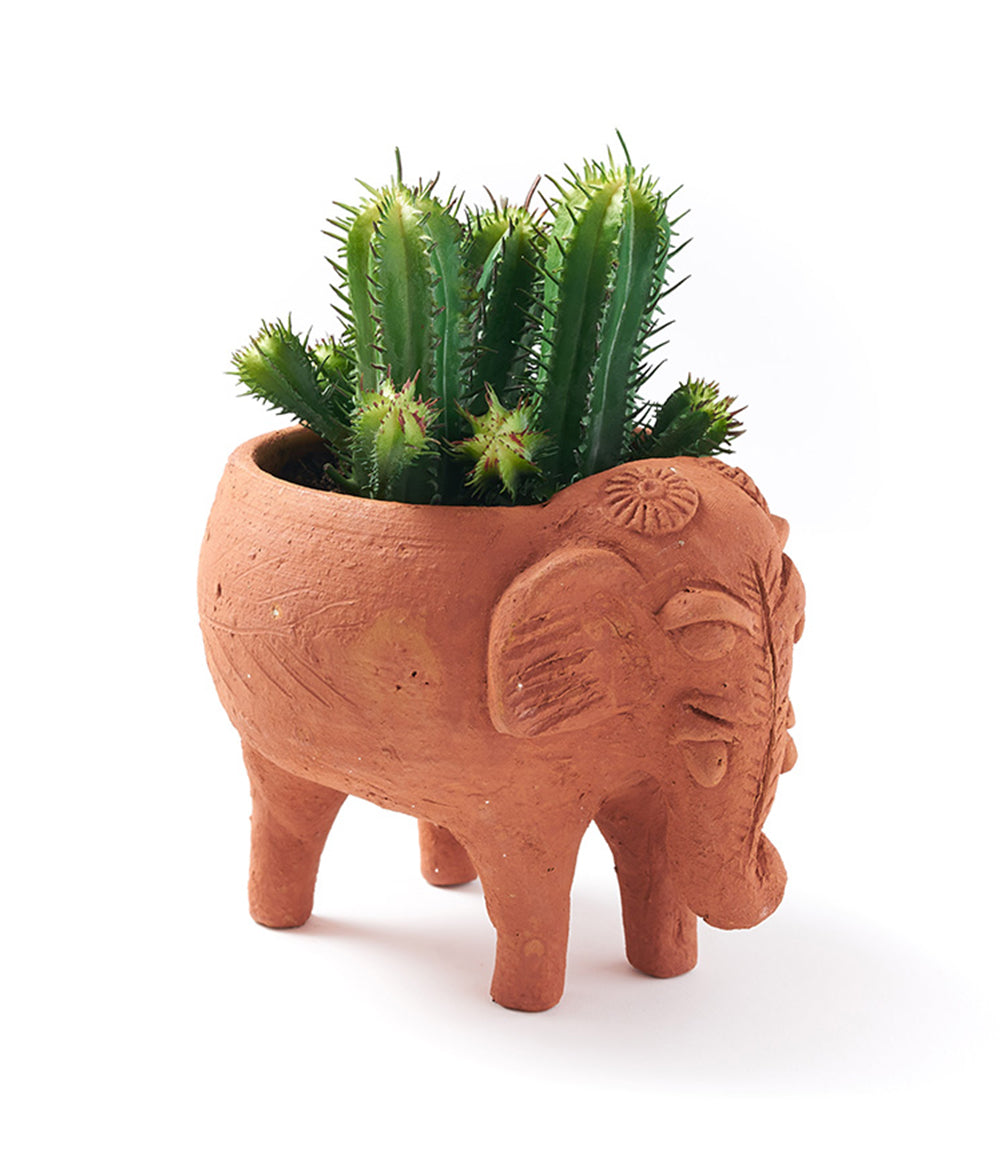 Terracotta elephant planter with a cactus on a white background