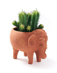 Terracotta elephant planter with a cactus on a white background