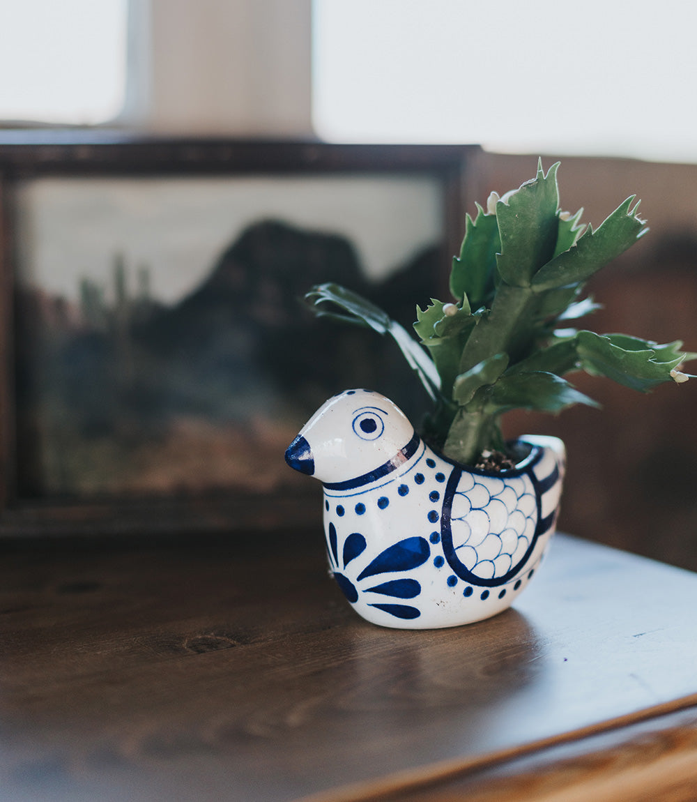 Lalita Bird Succulent Hand Painted Planter