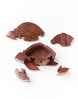 Wooden sea turtle puzzle box put together with a white background with the pieces taken apart.