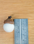 Acorn with a ruler for scale on a wooden surface