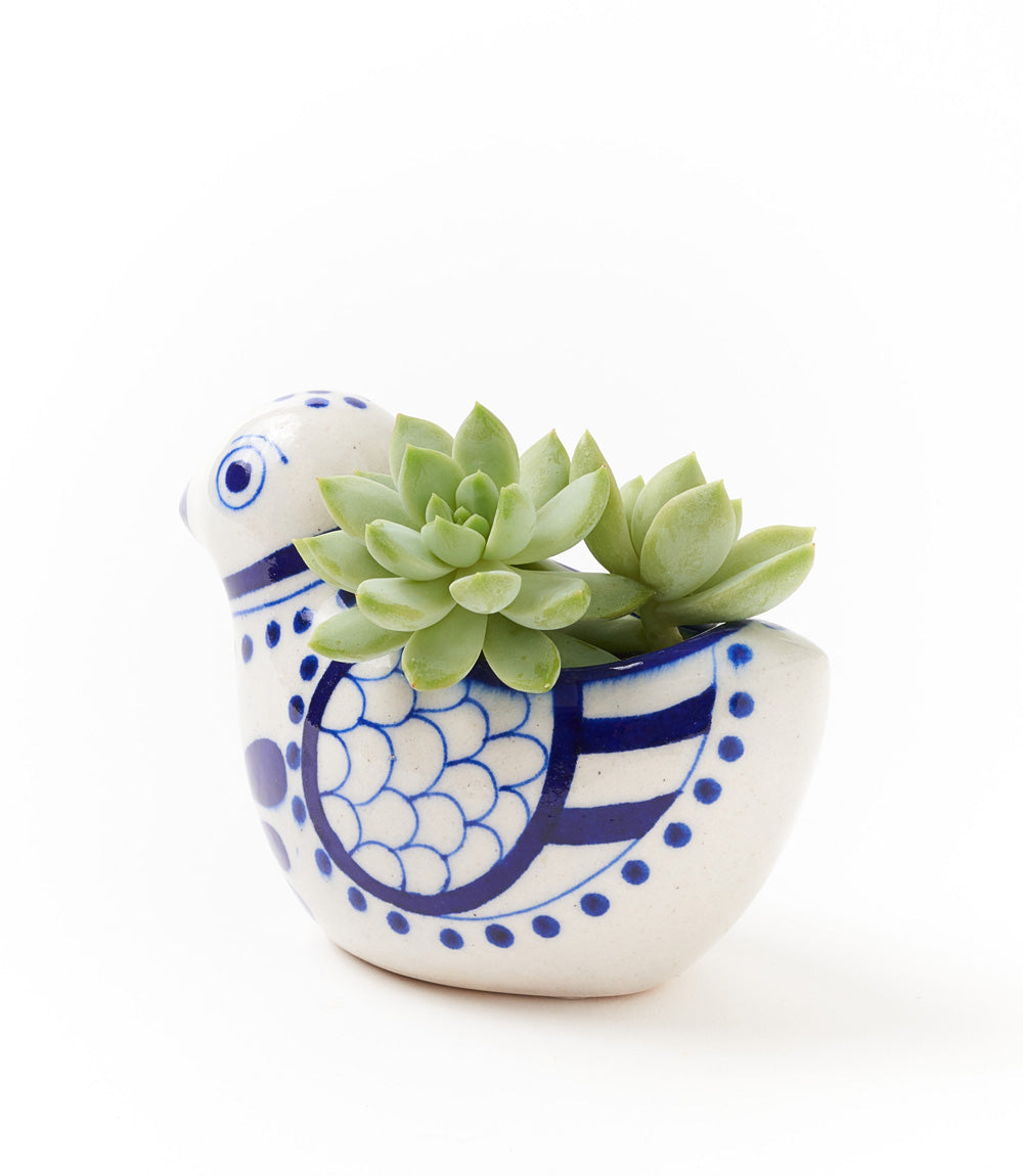Lalita Bird Succulent Hand Painted Planter