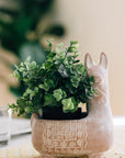 Llama Terracotta Planter