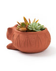 Rakshana Cat Plant Pot - Terracotta