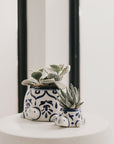 Lalita Mama Turtle Succulent Hand Painted Planter
