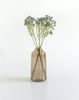 Small vase with dried flowers on a white background