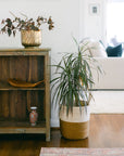 Living room with a plant in a woven basket and a wooden shelf with a vase.