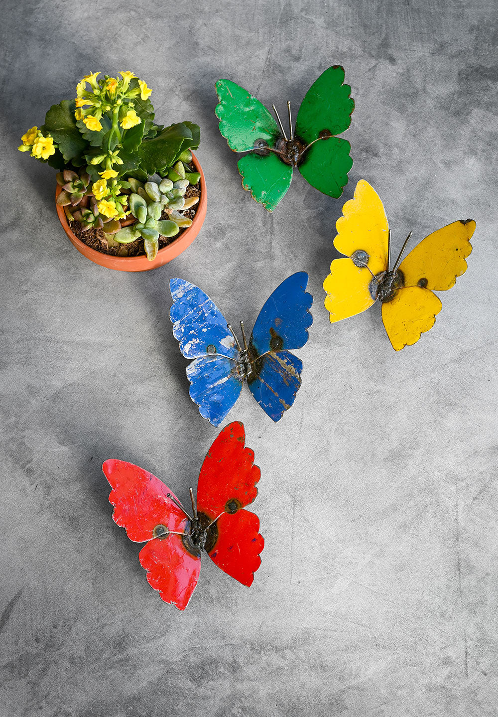 Colorful butterfly decorations on a gray surface with a potted plant.