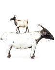 Recycled Metal African Farm Goats