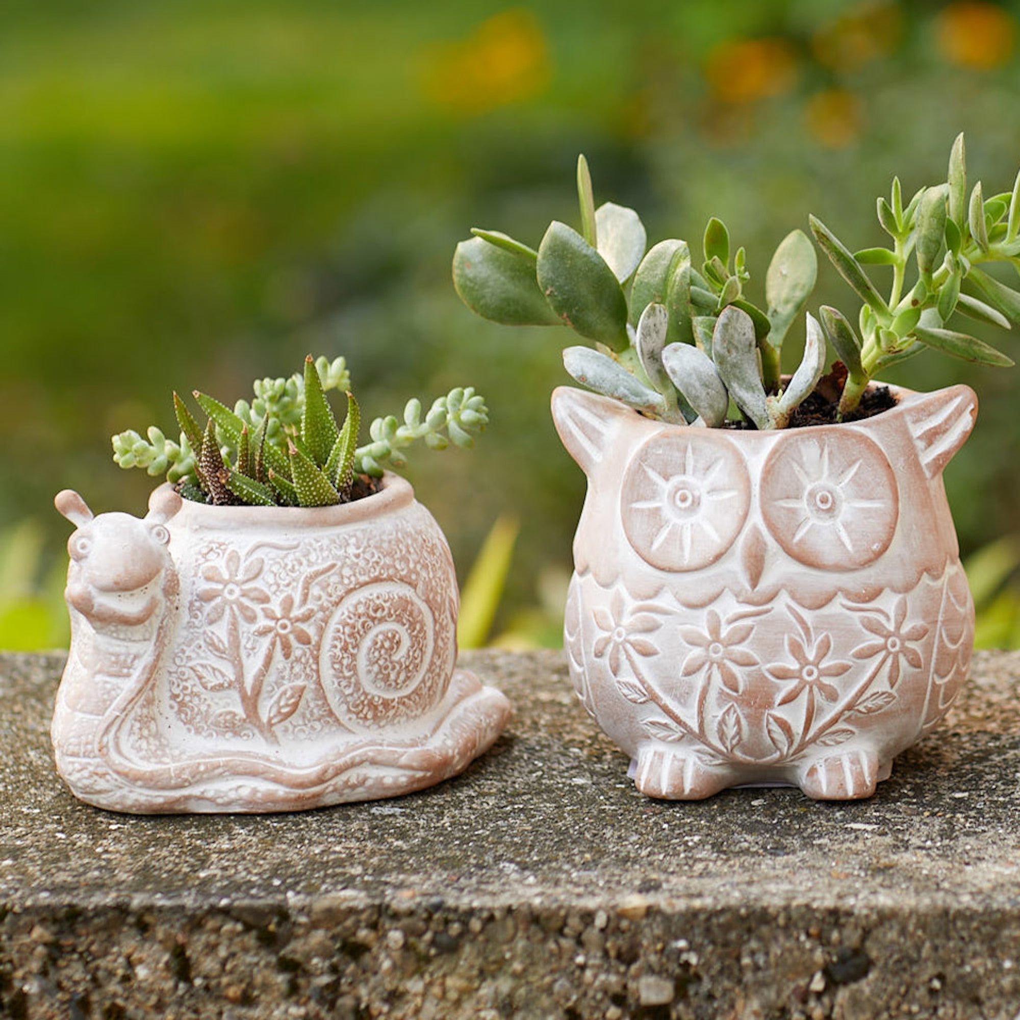 Hand-carved owl and snail planters surrounded by greenery — Outdoor Accents & Statues Collection at Better World Bio.
