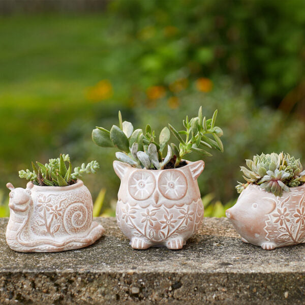 Whimsical owl-shaped planter made from ceramic, ideal for succulents or small houseplants.