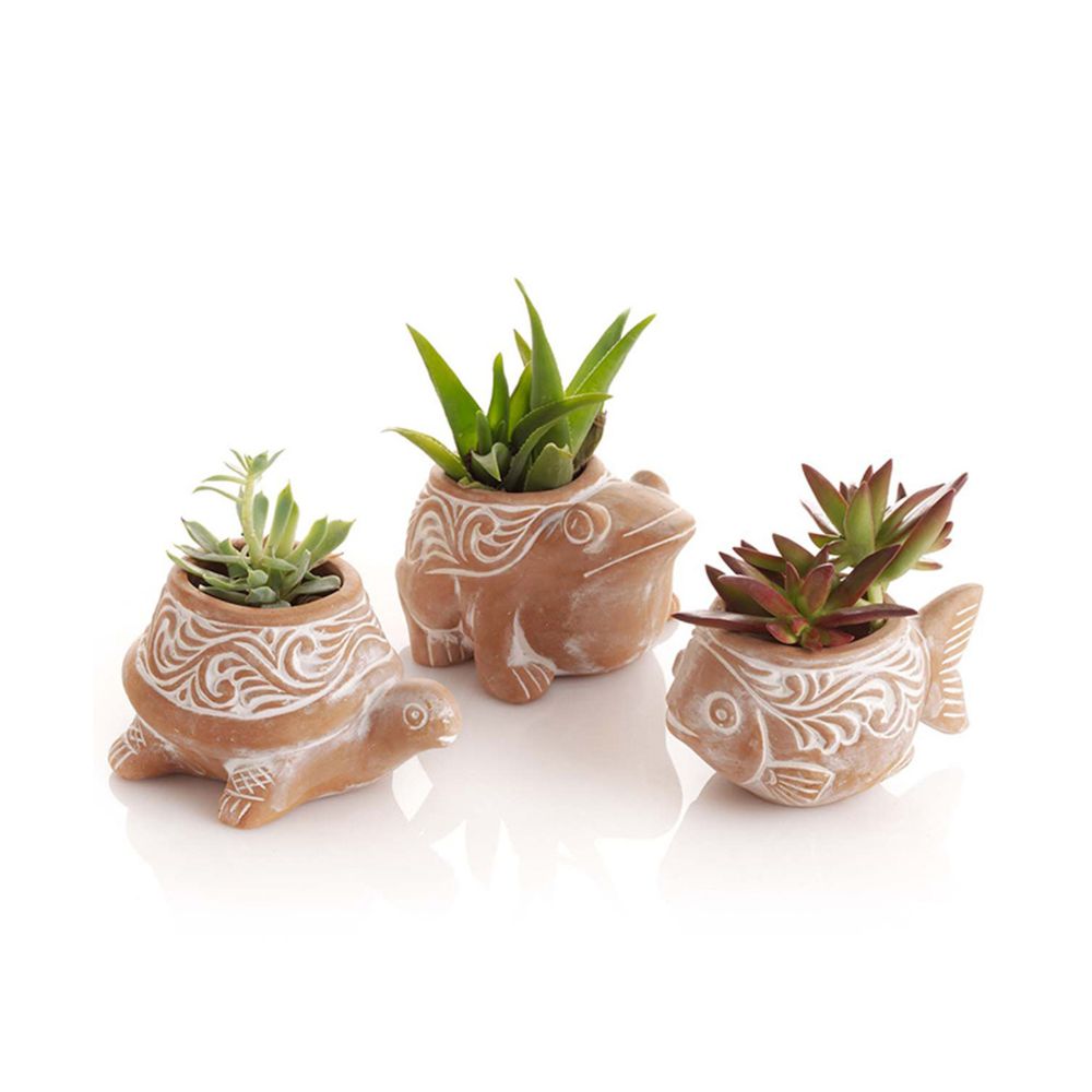 Terracotta frog, turtle, and fish planters with plants inside - planter collection at Better World Bio