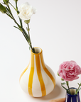Three colorful striped vases with flowers on a white background
