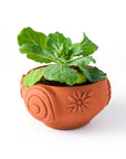 Rakshana Snail Plant Pot - Terracotta