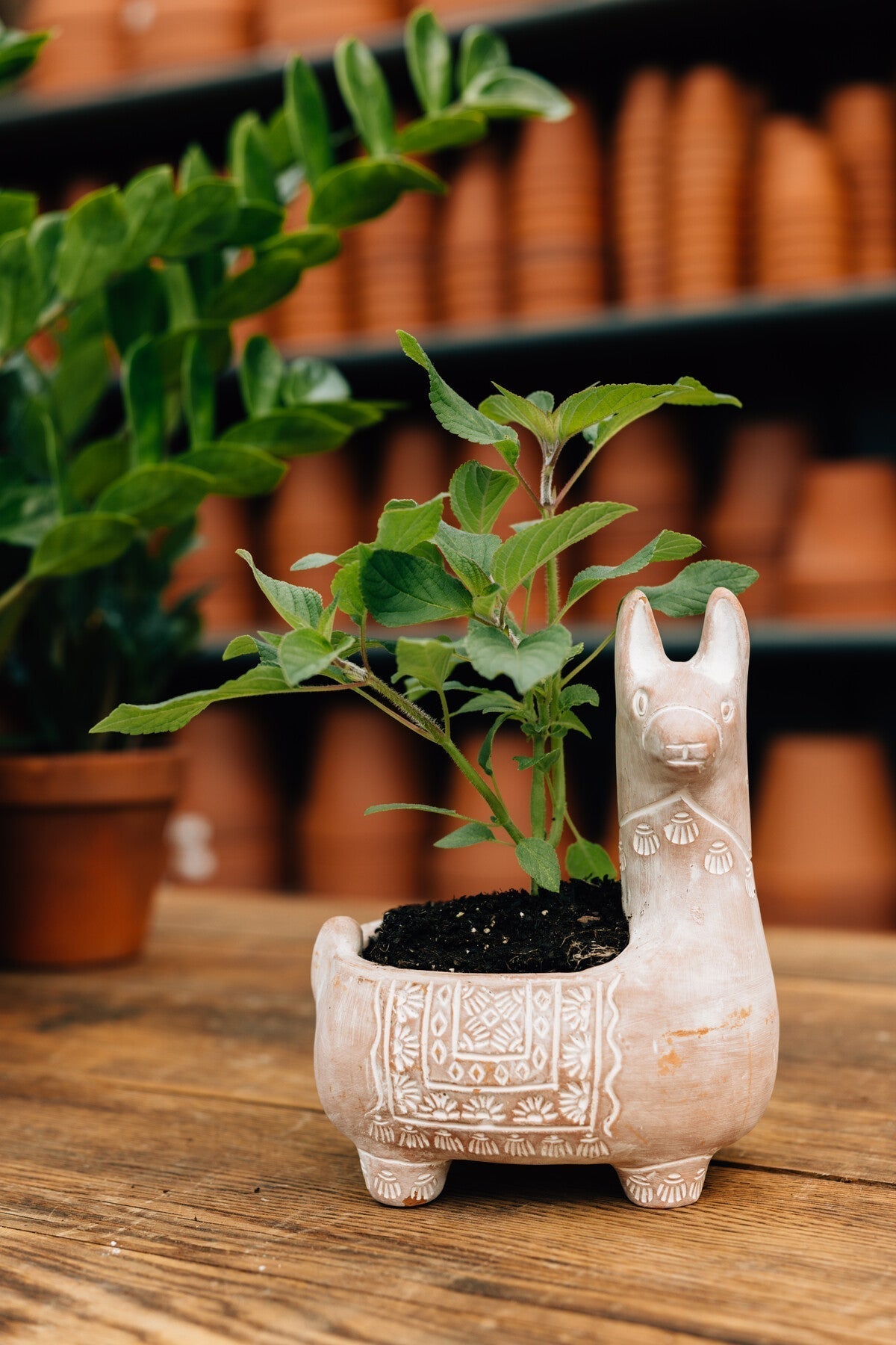 Llama Terracotta Planter