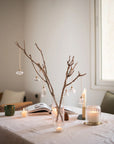 Bon Glass Ornaments - Set of 7