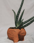 Rakshana Turtle Plant Pot -  Terracotta