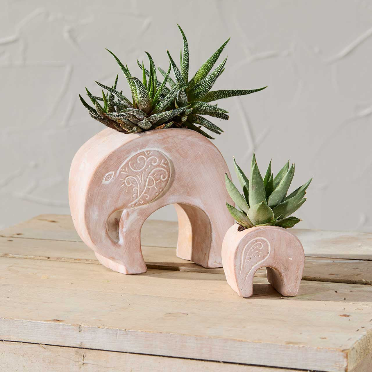 Two red and white elephant-shaped planters with succulents on a wooden surface.