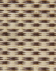 Basic Cream & Brown