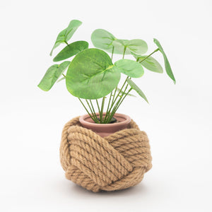 Potted plant wrapped with braided rope on a white background