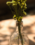 Pebbled Bottles Assorted - Set of 2