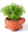 A terracotta plant pot in the shape of a whimsical rabbit with a plant growing out of it.