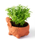 Rakshana Rabbit Plant Pot - Terracotta