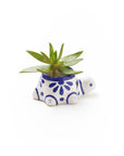 Lalita Baby Turtle Succulent Planter