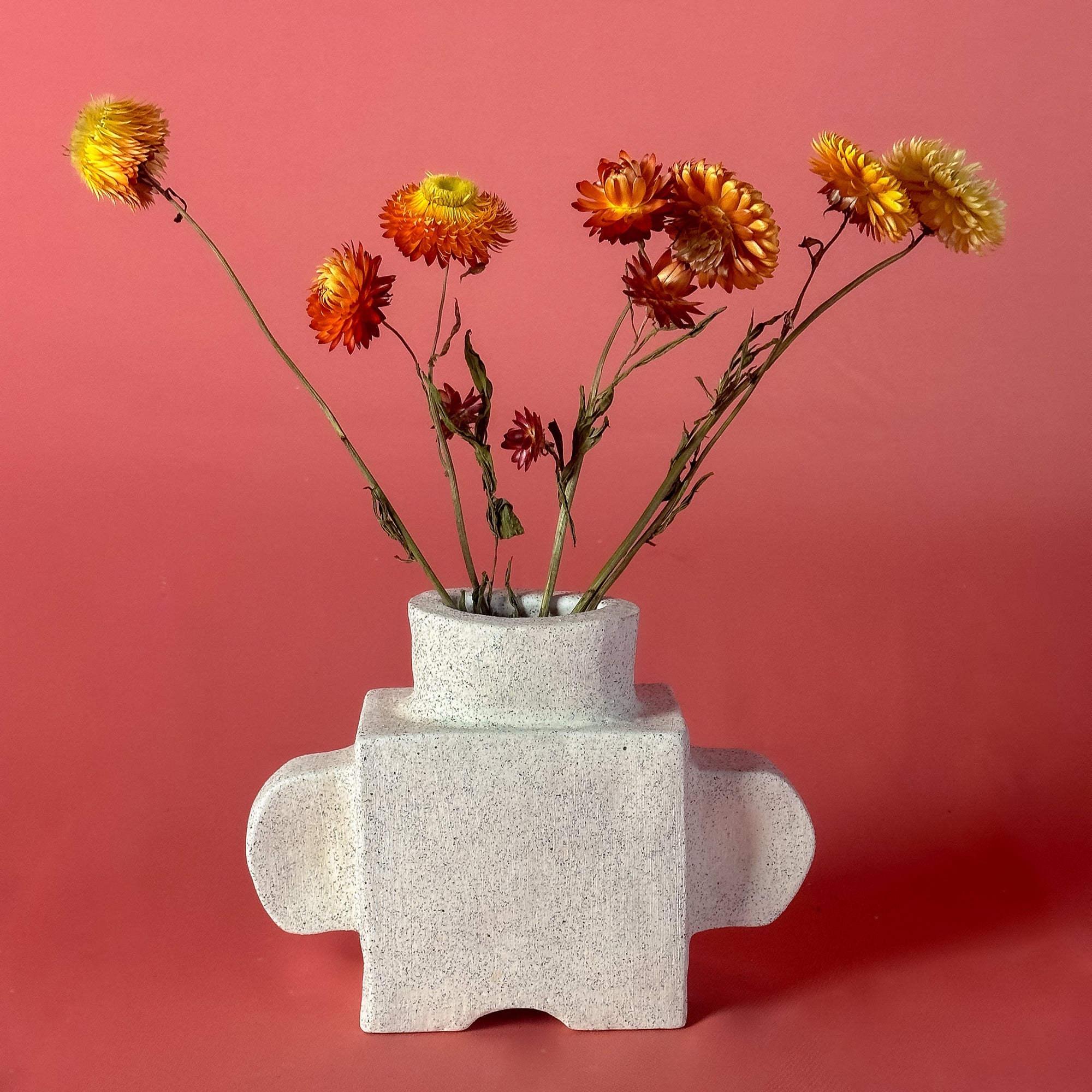 Porcelain vase with dried flowers on a pink background