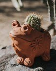 Rakshana Frog Plant Pot - Terracotta