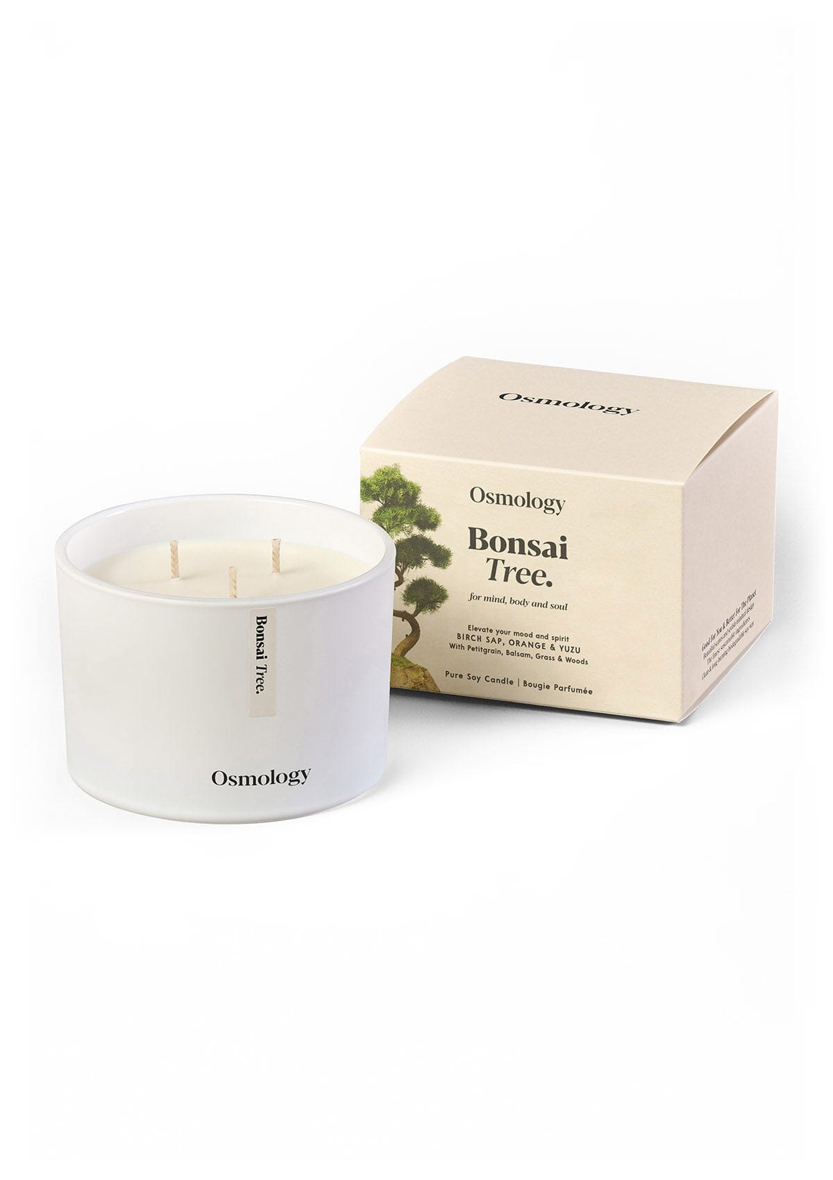 Osmology Bonsai Tree candle and packaging on a white background